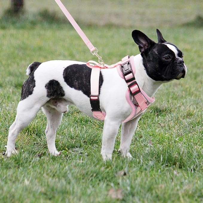 PUPTECK Soft Mesh Dog Harness and Leash Set Pet Puppy Cat Adjustable Reflective - Image 6