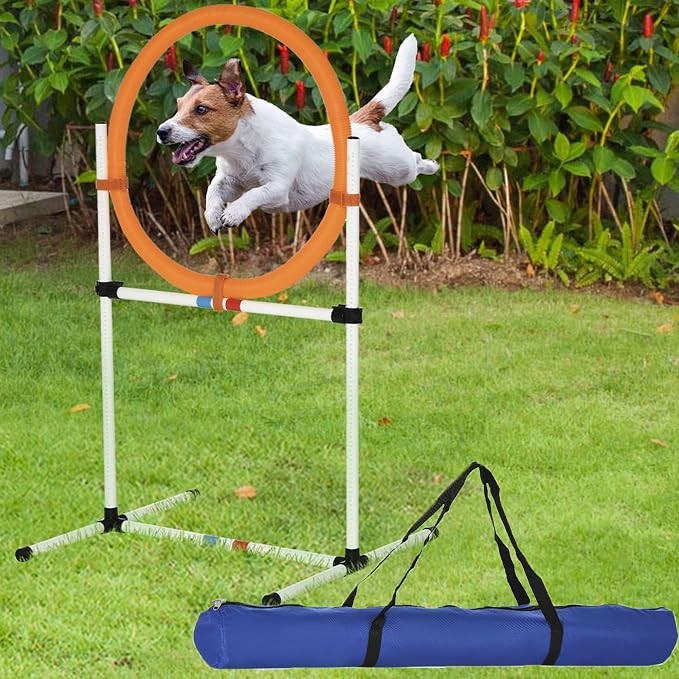 2-in-1 Adjustable Dog Agility Jumps by anwickjeff