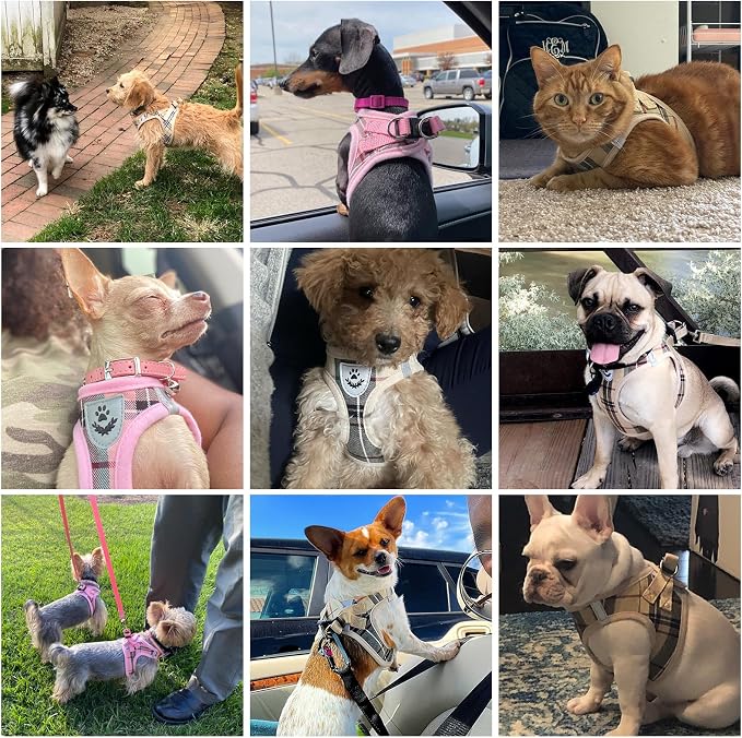 KOOLTAIL Dog Harness for Small Medium Dogs, Dog Harness and Leash Set, Step in - Image 2