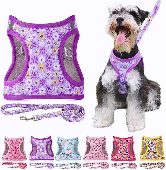 Moonpet Step in Dog Harness Leash Set- All Weather Reflective No-Pull Floral by MOONPET