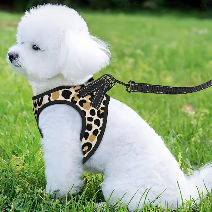 Dog Harness and Leash Set Soft Mesh Breathable Pet Harness Reflective - Image 3