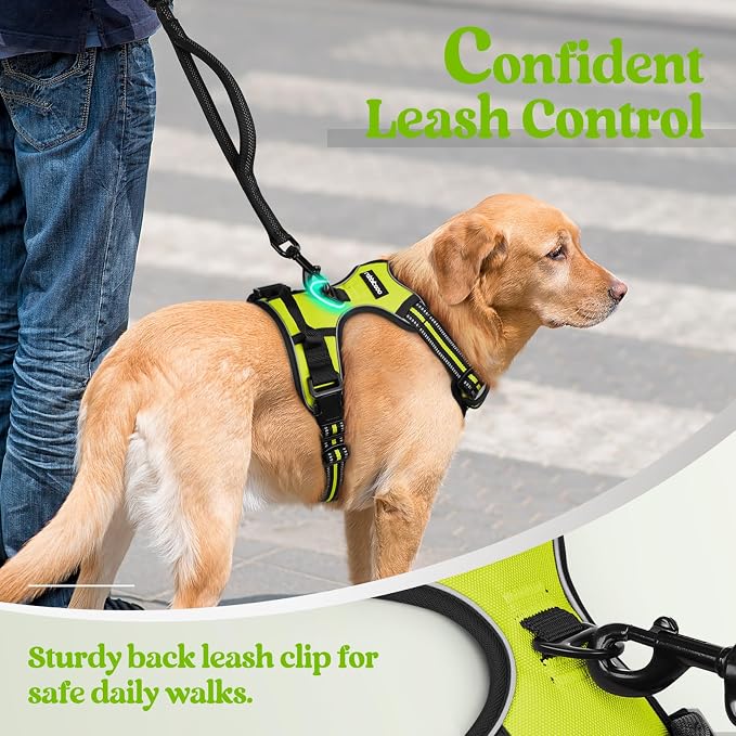 rabbitgoo Dog Harness No Pull - Image 6