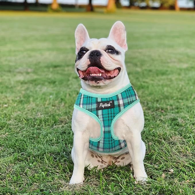 PUPTECK Soft Mesh Dog Harness and Leash Set Pet Puppy Cat Comfort Padded Vest - Image 7