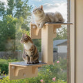 Pecute Double Cat Shelves with Scratching Post by pecute