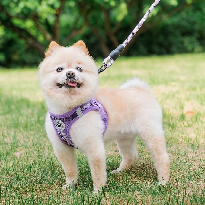 BEAUTYZOO Small Dog Harness and Leash Set, Step in No Choke No Pull Soft Mesh - Image 7