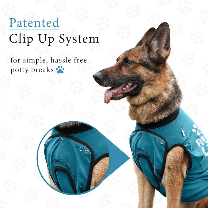 BellyGuard Dog Surgery Recovery Suit, Dog Onesie - Image 5