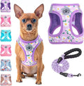 BEAUTYZOO Step in Dog Harness and Leash Set, Floral Pattern Reflective Dog by BEAUTYZOO