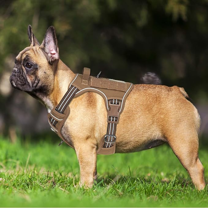 Heavy Duty Tactical Dog Harness - Image 2