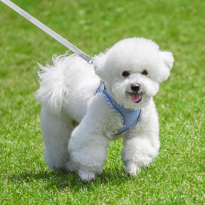 Soft Dog Harness and Leash Set for Walking, Summer Step in Vest Harness - Image 7