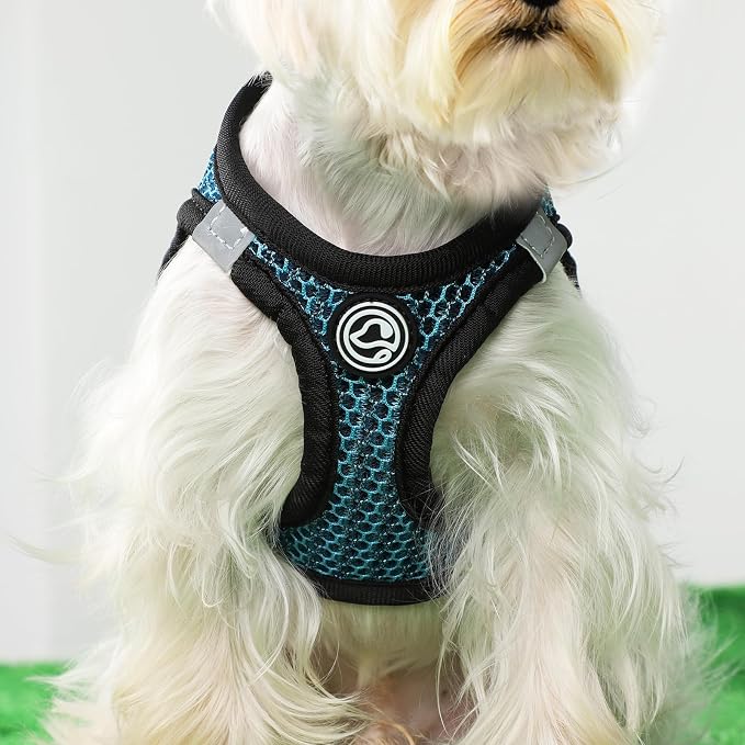Chihuahua Teacup Dog Harness - Image 3
