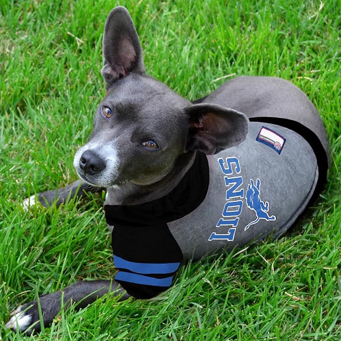 Pets First NFL Detroit Lions Hoodie - Image 2