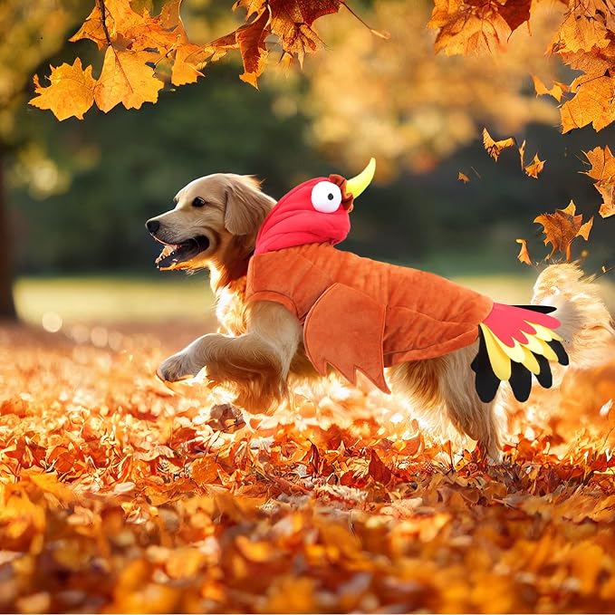 BWOGUE Turkey Dog Costume Thanksgiving Apparel Pet Costume - Image 8