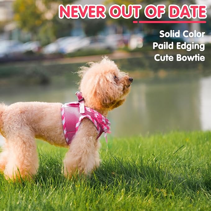 PUPTECK Dog Harness for Puppy and Small Sized Dogs, Step-in No Pull Soft Mesh - Image 4
