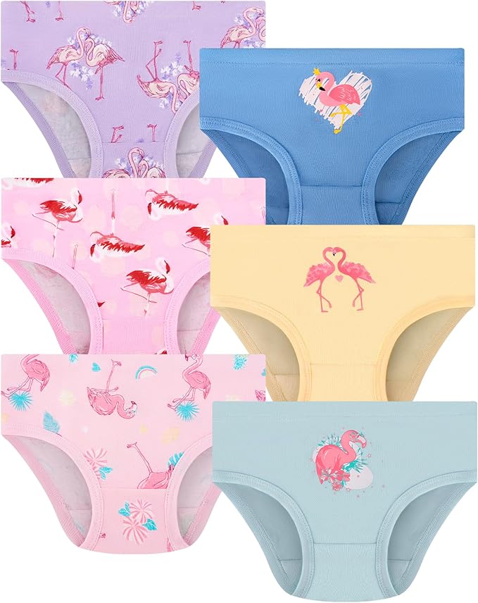 Girls and Toddlers 100% Cotton Underwear Tagless Soft Panties Size 2-3T by JAHSIYI
