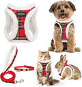 GAMUDA Small Dog Harness Collar and Leash Set, Step in No Chock No Pull Soft by GAMUDACollarsCollection