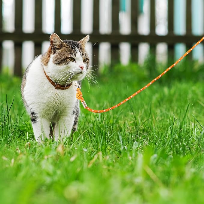Reflective Cat Leash, 15ft Escape Proof Walking Lead Yard Long Leash, Extender - Image 4