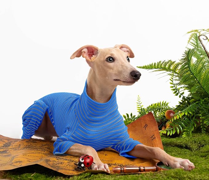Dog Sweaters for Small Dogs Girls Boys, Striped Pet Sweaters for Fall Winter - Image 5