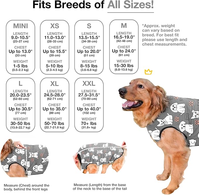 BellyGuard Dog Surgery Recovery Suit, Dog Onesie - Image 3