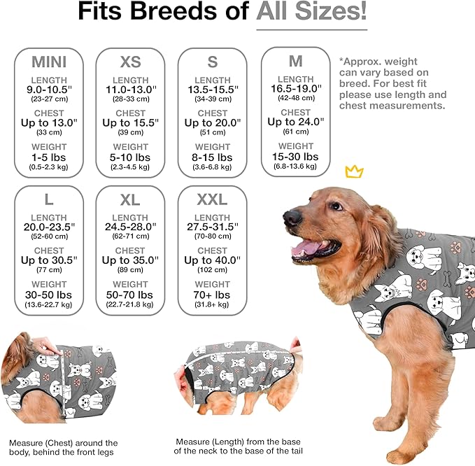 BellyGuard Dog Surgery Recovery Suit, Dog Onesie - Image 3