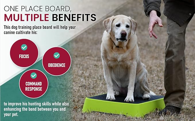 HUNTMARK Dog Training Place Board - Image 6