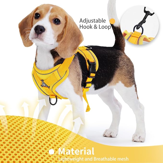 No Pull Dog Harness with Leash Set - Image 4