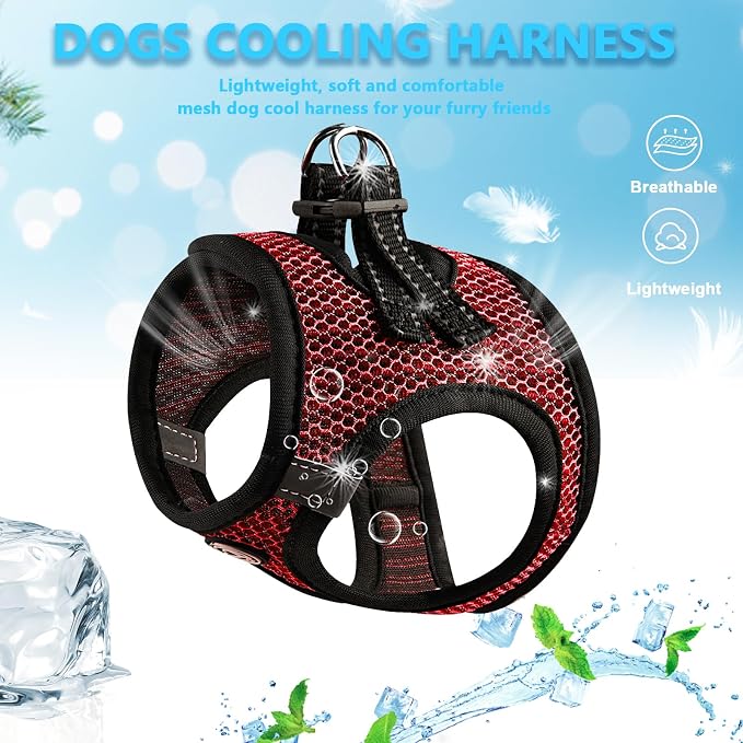 Dog Harness for Medium Dogs Chihuahua Harness Tiny Dog Harness for Cats Dogs - Image 2