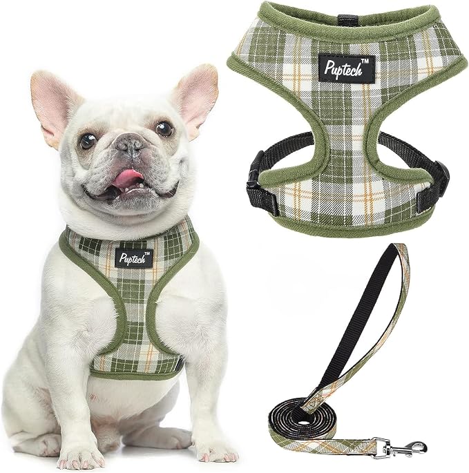 PUPTECK Soft Mesh Dog Harness and Leash Set Pet Puppy Cat Comfort Padded Vest by PUPTECK