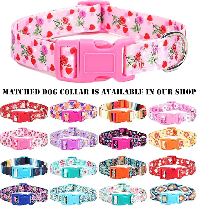 Moonpet Step in Valentine's Day Dog Harness Leash Set- All Weather Reflective - Image 5