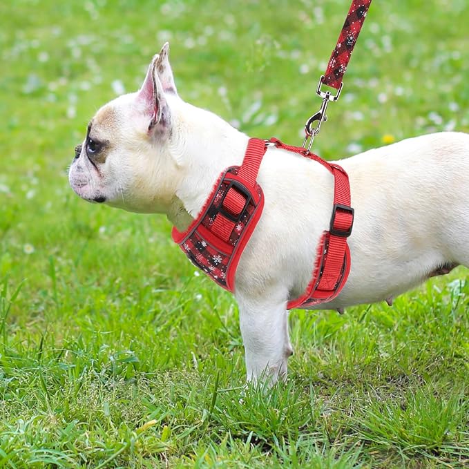 PUPTECK Christmas Small Dog Harness and Leash Set, No Pull Adjustable Puppy Cat - Image 6