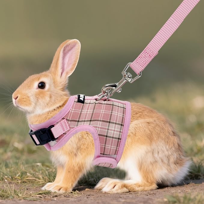 AIITLE Breathable Rabbit Harness and Leash Set - Image 8