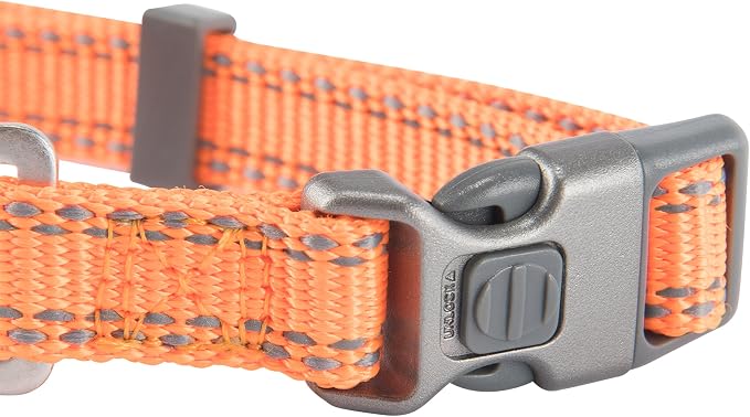 Browning Classic Preformance Webbing Pet Collar, Fully Adjustable, Available in - Image 3