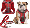 GAMUDA Small Dog Harness Collar and Leash Set, Step in No Chock No Pull Soft by GAMUDACollarsCollection