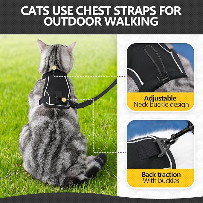 Cat Harness and Leash Set - Image 4