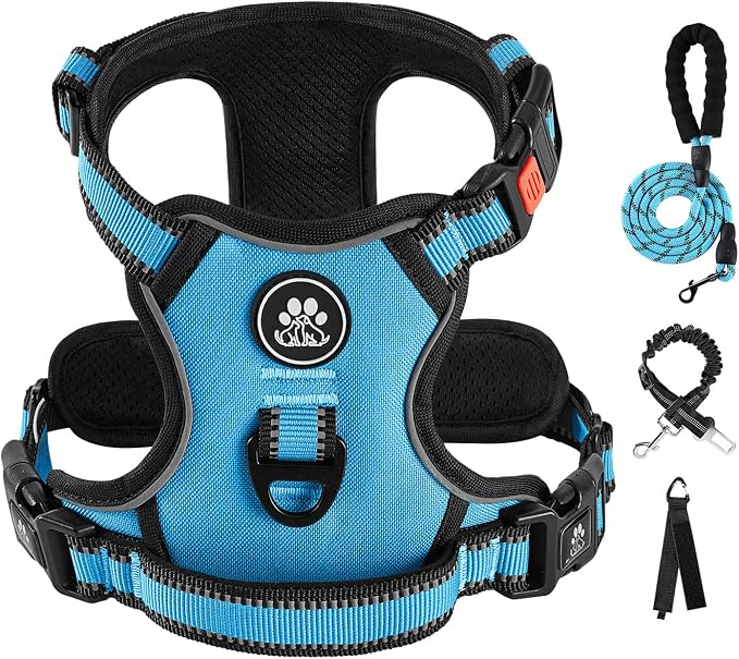 IVY&LANE No Pull Dog Harness for Large Dogs, Dog Vest Harness by IVYLANE