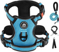 IVY&LANE No Pull Dog Harness for Large Dogs, Dog Vest Harness by IVYLANE