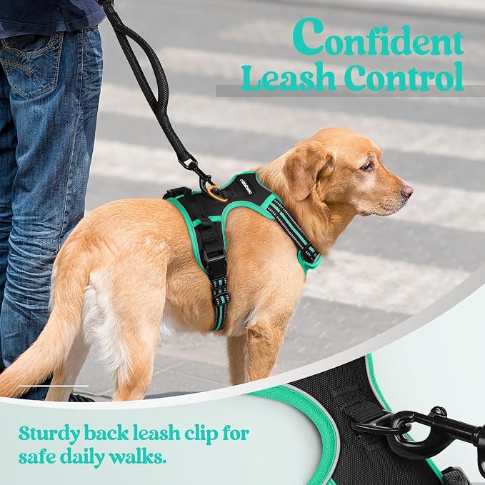 rabbitgoo Dog Harness No Pull - Image 6