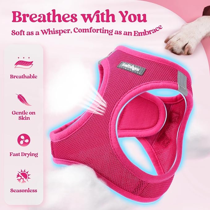 rabbitgoo Dog Harness Small Sized and Leash Set, Step in Soft Light Puppy Vest - Image 4