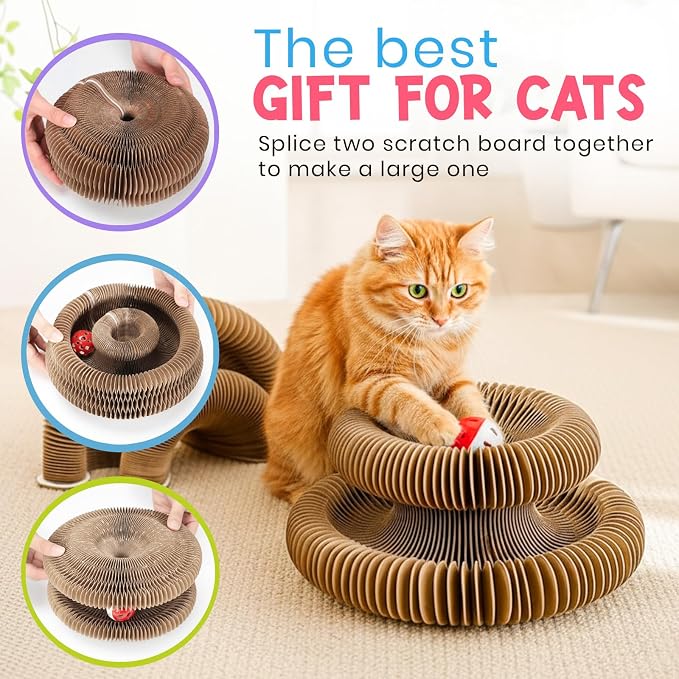 Kitty Curls Cat Toy Twisty Paws Kurlz | Magnetic Magic Organ Cat Scratcher | - Image 5