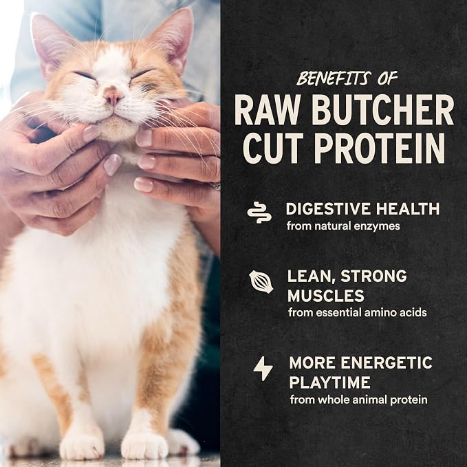 Vital Essentials Freeze Dried Minnows Cat Treats | Single Ingredient | Premium - Image 4