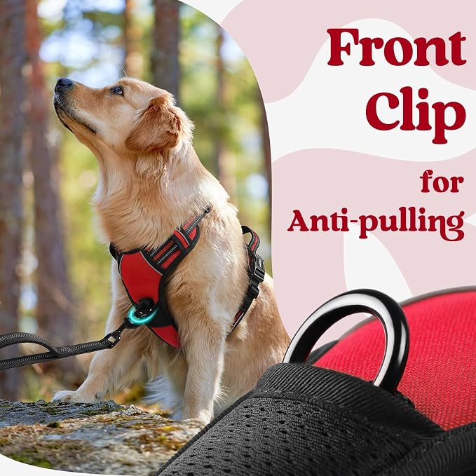 rabbitgoo Dog Harness Medium Sized, No Pull Pet Harness - Image 7