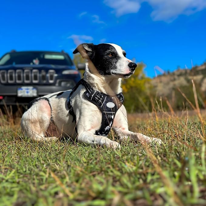 AUROTH Tactical Dog Harness for Small Medium Large Dogs - Image 6