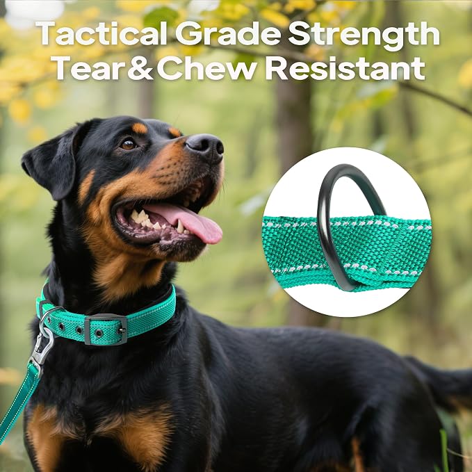 PetiFine Dog Collar for Large Dogs, Neoprene Padded and Adjustable, Reflective - Image 6