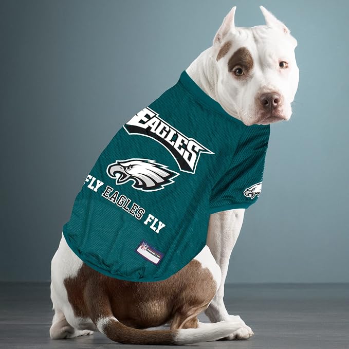 NFL Philadelphia EAGELS Raglan Jersey Fly Eagles Fly - Image 2