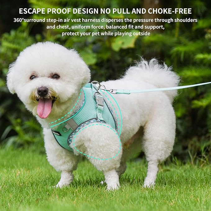 AIITLE XXS Dog Harness & Leash Set - Image 4