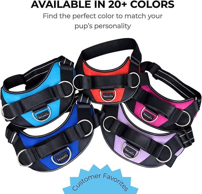 ShawnCo Essential Dog Harness, No-Pull Pet Vest - Image 6