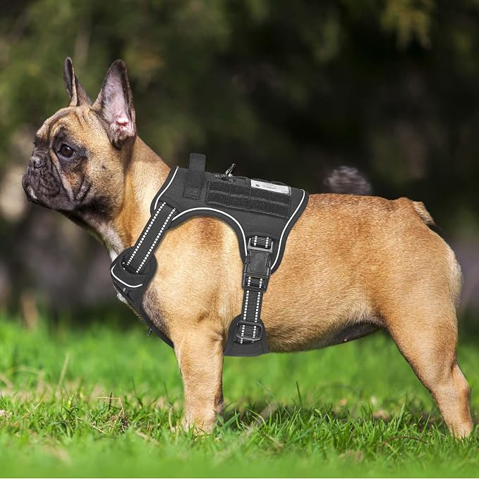 Heavy Duty Tactical Dog Harness - Image 2