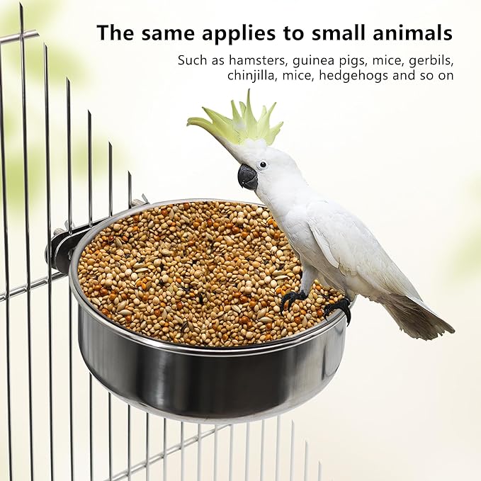 Small+Medium Bird Feeding Dish Cups, Parrot Food Bowl Cage - Image 5