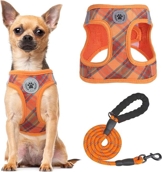 BEAUTYZOO Step in Dog Harness and Leash Set, Reflective Dog Harness No Pull No by BEAUTYZOO