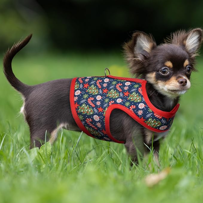 Mile High Life Velcro Dog Harness, Air Mesh Floral Vest Harness - Image 7