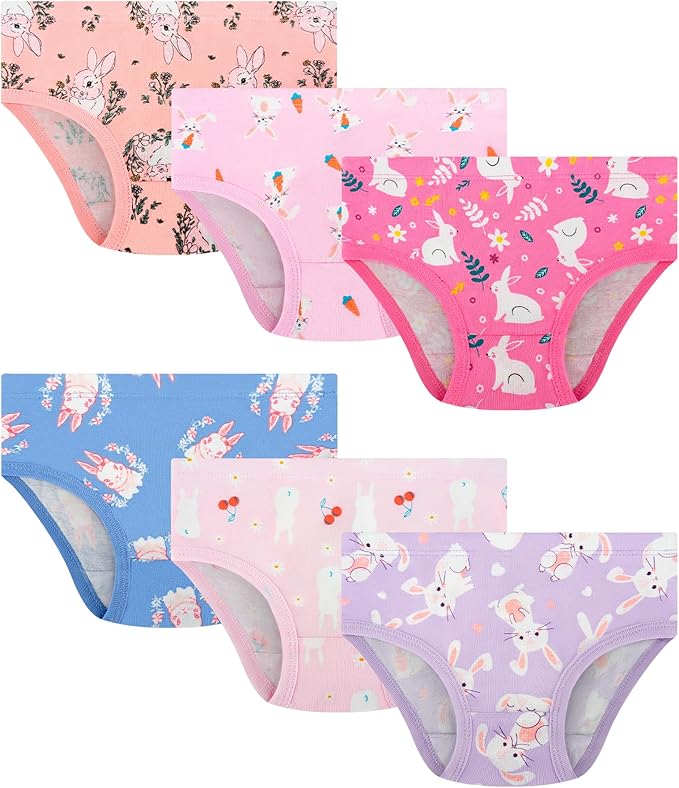 Girls and Toddlers 100% Cotton Underwear Tagless Soft Panties Size 2-3T by JAHSIYI